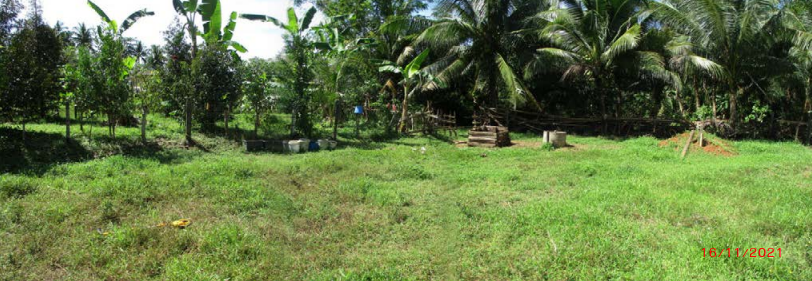ขาย ที่ดิน ที่อยู่ในจังหวัด ตรัง