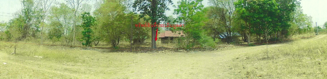 รูปภาพ + ที่ดิน