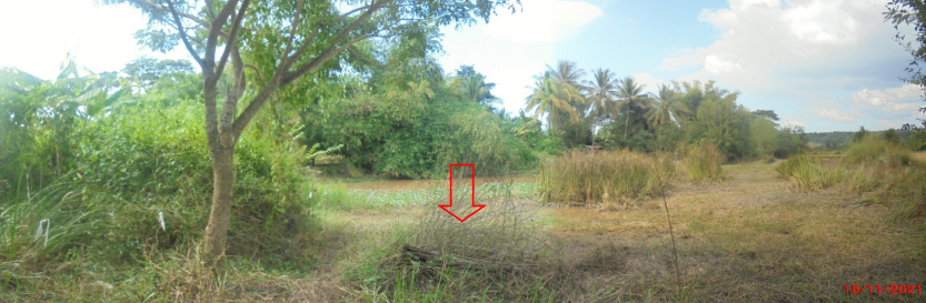 รูปภาพ + ที่ดิน
