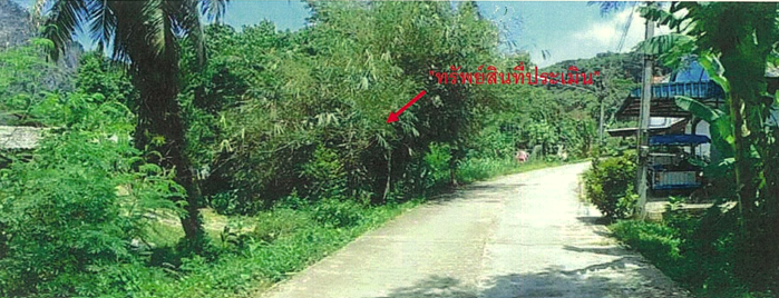 รูปภาพ + ที่ดิน