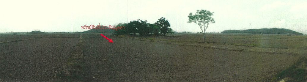 รูปภาพ + ที่ดิน